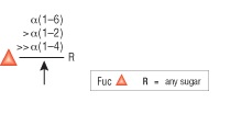 α1-2,4,6 Fucosidase O--NEB