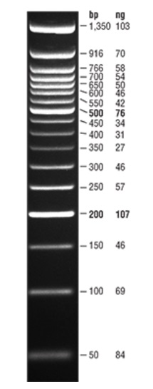 Quick-Load 紫色 50 bp DNA Ladder--NEB