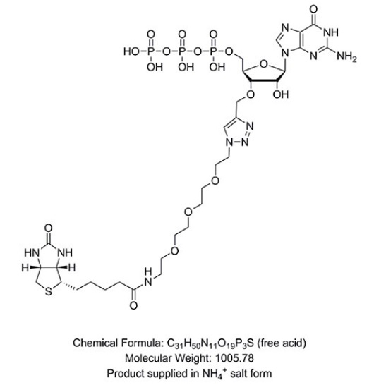 3´-Biotin-GTP--NEB