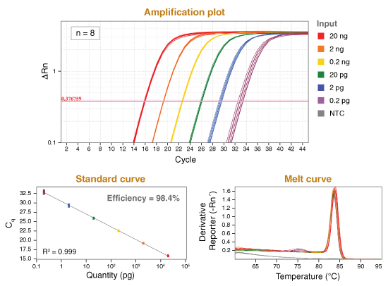 Luna® 通用 qPCR 预混液--NEB