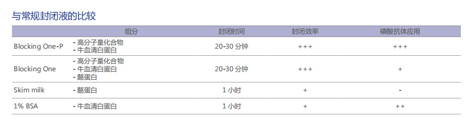 高效封闭液：Blocking One 系列